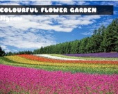 Цветочный сад - Пазл
