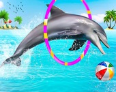 Шоу дельфинов: трюки в воде
