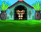 G2M Побег мыши