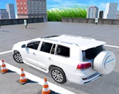 Классическая парковка Прадо: 3D машины